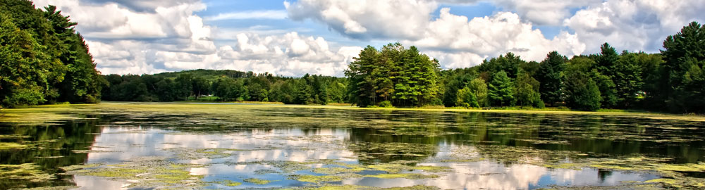 Protecting Brandy Lake from Blue Green Algae
