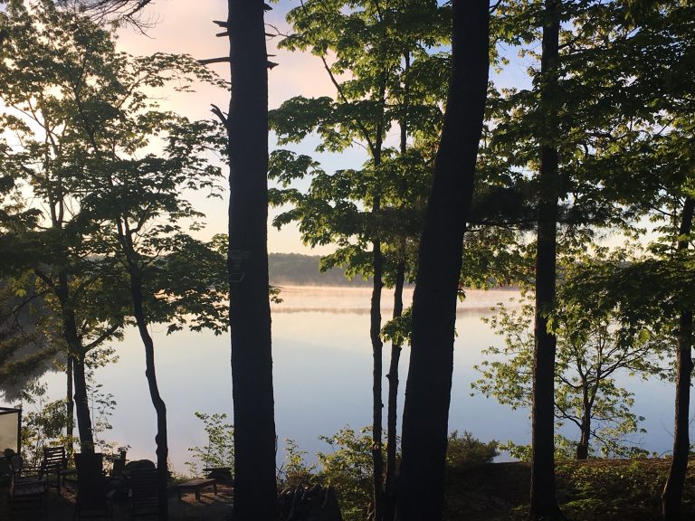 Brandy Lake The Official Site of the BLA The official site of the
