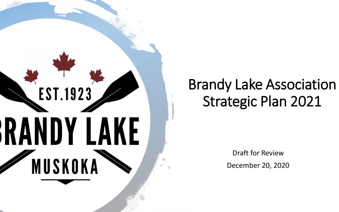 Brandy Lake Association Strategic Plan